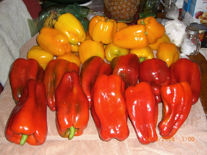 peppers08_008.jpg